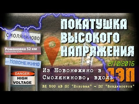 Видео: На велосипеде по Приморскому лесу