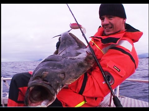 Видео: Морская рыбалка в Норвегии на острове Сенья.