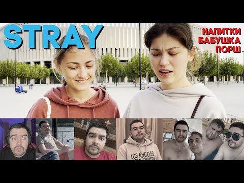 Видео: Девушки оценивают стримеров #2: STRAY