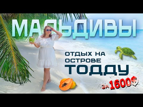 Видео: ЧЕМ ЗАНЯТЬСЯ НА МАЛЬДИВАХ? | БЮДЖЕТНЫЙ ОТДЫХ | ОСТРОВ ТОДДУ | 1600$ НА ДВОИХ, ЗА 7 ДНЕЙ | ЧЕРЕПАХИ