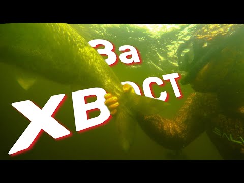 Видео: Не реально круто. Подводная охота в новом формате.