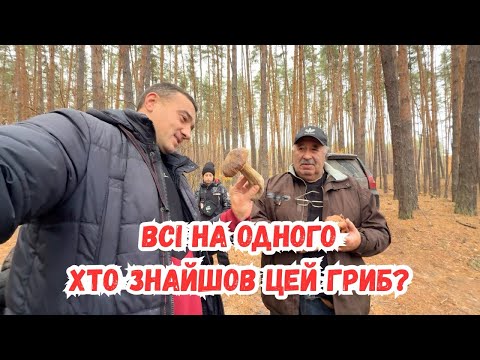 Видео: Велике грибне відео. Початок осінніх канікул. Сімейний день. 