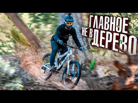 Видео: Ох уж это дерево… Даунхил с Иваном Кунаевым!