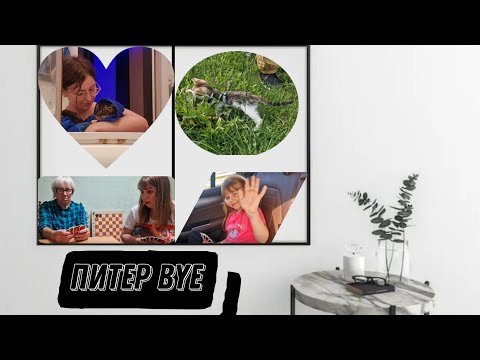 Видео: Влог: Едем в Рославль к бабушке на машине с ДВУМЯ КОШКАМИ