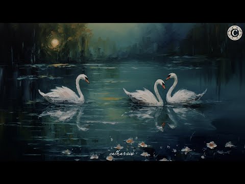 Видео: Плейлист, чтобы почувствовать, что вы находитесь на месте Swan Lake Pt. 2