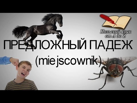 Видео: Польский язык от А ДО Ż - Предложный падеж (13 урок)