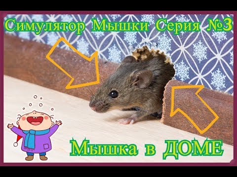 Видео: Симулятор мышки №3 -  Мышка. Кушаем. Находим дом. Строим гнездо. Детские игры.