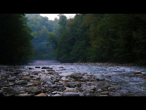 Видео: Шум горной реки. Приятная река, расслабляющие звуки природы. Белый шум для сна, учебы
