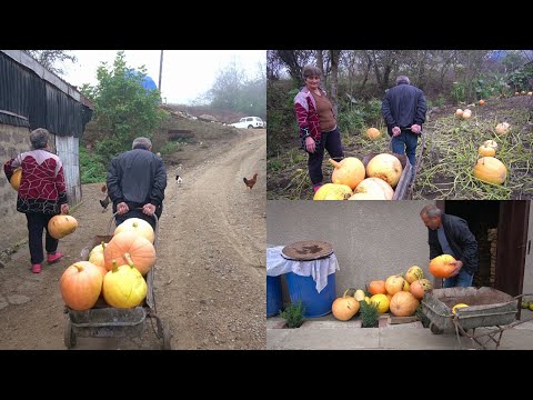 Видео: ԴԴՈՒՄՆԵՐԻ ԱՇԽԱՐՀՈՒՄ - Շամշադինի Համը - Шамшадин 