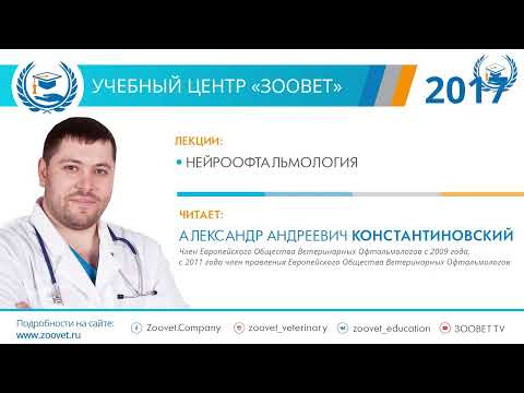 Видео: Константиновский А. А. в УЦ «Зоовет» | ч.1