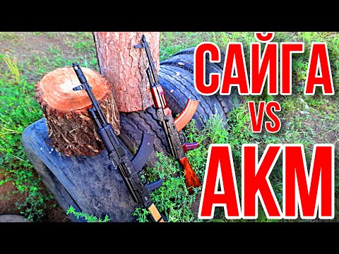 Видео: Стрельба в пень из АКМ и САЙГИ