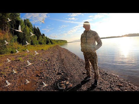 Видео: Рыба очень хочет есть! Голодная рыба съела весь прикорм! Нашествие странных насекомых!