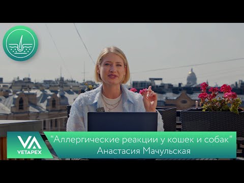 Видео: Кафедра Дерматологии "Аллергические реакции у кошек и собак"