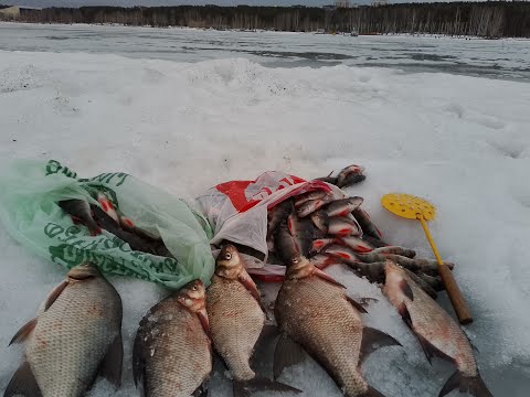 Видео: рыбалка 30.03.24 Белоярское водохранилище. Закрытие сезона