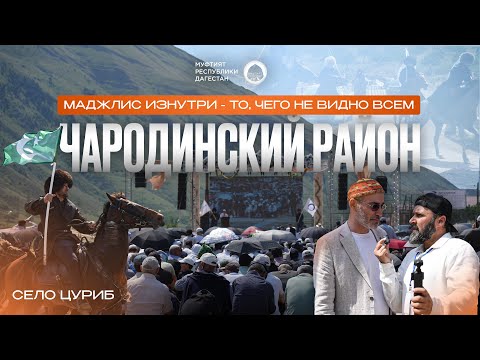 Видео: LIFE формат Чародинский район, село Цуриб