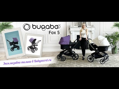 Видео: BUGABOO FOX 5 ОБЗОР КОЛЯСКИ В СРАВНЕНИИ С BUGABOO FOX 3