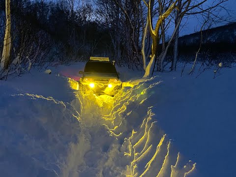 Видео: Вырваться из снежного плена или спасти рядового Барсика