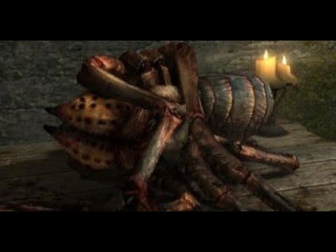Видео: НЕОБЫЧНЫЕ ПАУКИ - Skyrim #52