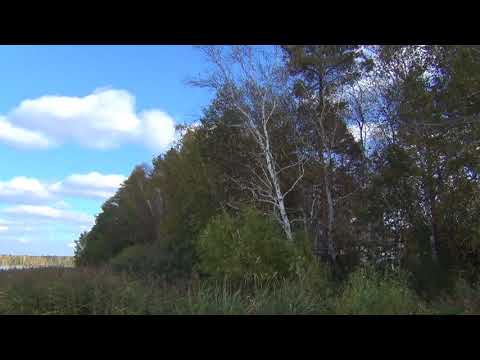 Видео: КОГДА ЗАВОДИТЬ НОВЫЙ РОМАН?  (Секреты счастья Светланы Ермаковой)