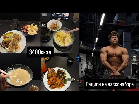 Видео: Что я ем на наборе | full day of eating 3400ккал | тренировка ног