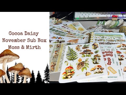 Видео: Ноябрьский саббокс Cocoa Daisy || Moss & Mirth