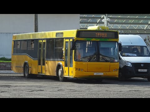 Видео: Автобус №281. АВ Витебск - Трущи