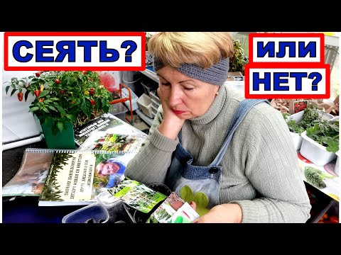 Видео: Думала что никогда не буду это сеять! Но открыла новый сезон. Разговор о связи со мной