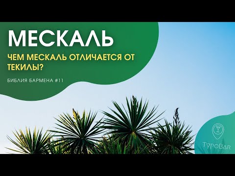 Видео: Мескаль. Гусеница в бутылке. С чем его пить и отличия от текилы. #11