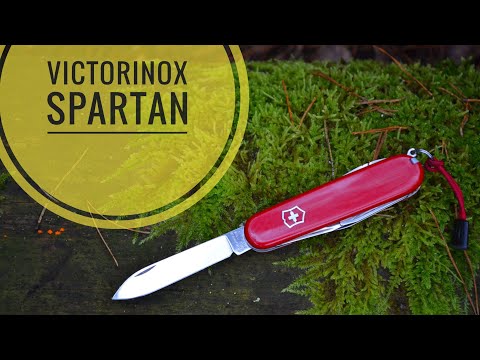 Видео: Нож Victorinox Spartan. Тест/ testing