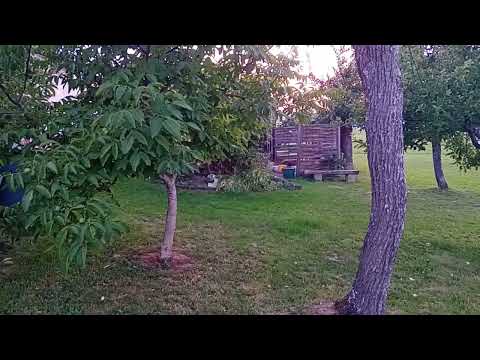 Видео: Більше 100 років!