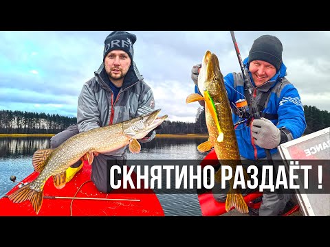 Видео: ЗАКРЫЛИ СЕЗОН ЩУКАМИ / Волга. Скнятино.