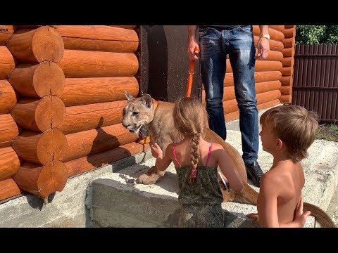 Видео: Едем с Месси в новый дом!