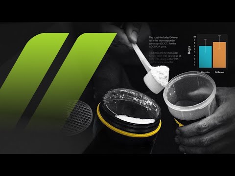 Видео: Отрывок семинара "Спортивное питание и эргогенные средства"