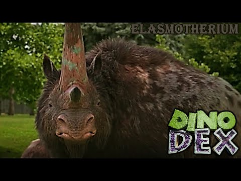 Видео: экранное время дино декс эласмотерия