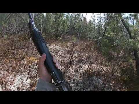 Видео: Охота на медведя, весна 2023