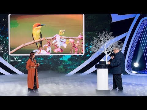 Видео: «Удивительные люди». Тайгана Мочек. Имитация голосов птиц