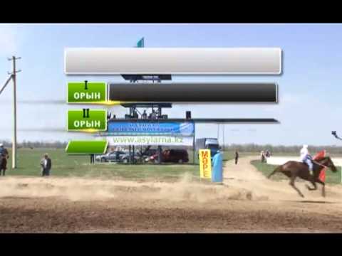 Видео: Asyl arna. Асыл арна. Бәйге. Жылқы. Ат