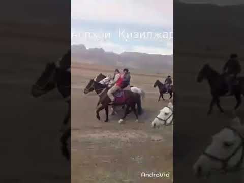 Видео: Аспхои  Қизилжар