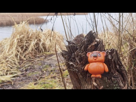 Видео: Відпочинок на природі