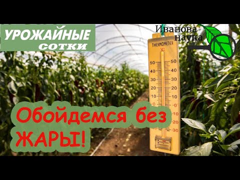 Видео: ЖАРА! 5 СПОСОБОВ уберечь растения от жары!