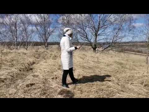 Видео: Шум-гора