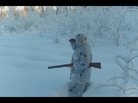 Видео: Специфика охоты на Лося: Тропление