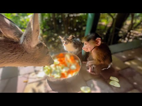 Видео: К нам с Люсей пришло МНОГО ГОСТЕЙ позавтракать)