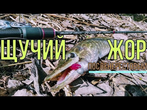 Видео: ОТЛИЧНЫЙ КЛЁВ ЩУКИ ! ЩУЧИЙ ЖОР ПОСЛЕ НЕРЕСТА 2018.ЛОВНЯ НА СПИННИНГ. ЛОВЛЯ ЩУКИ.