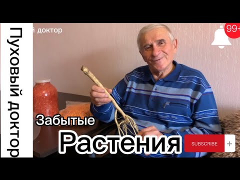 Видео: НЕЗАСЛУЖЕННО ЗАБЫТЫЕ РАСТЕНИЯ