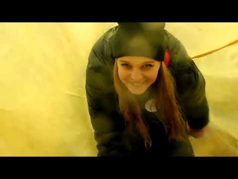 Видео: Выставка домашних животных в Чехове | Выставка собак в Дубне // Чеховчанка. ТВ