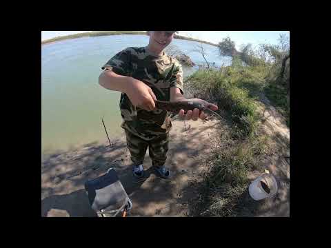 Видео: И опять река Или рыбалка - сазан, сом, змей голова, жерех.