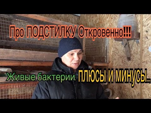 Видео: Про  Несменяемую ПОДСТИЛКУ Откровенно!!! Живые бактерии: плюсы и минусы!!!