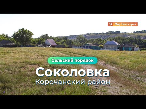 Видео: «Сельский порядок». Соколовка Корочанского района (29.07.2020)