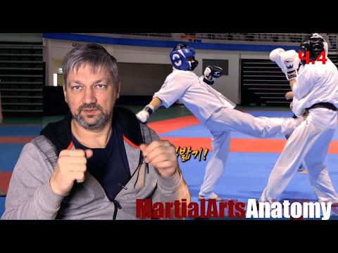 Видео: [Разбор полетов] 4) Теккён vs Киокушин Каратэ